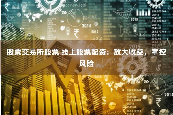 股票交易所股票 线上股票配资：放大收益，掌控风险