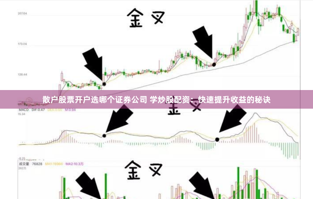 散户股票开户选哪个证券公司 学炒股配资：快速提升收益的秘诀